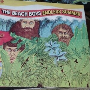 The Beach Boys LP